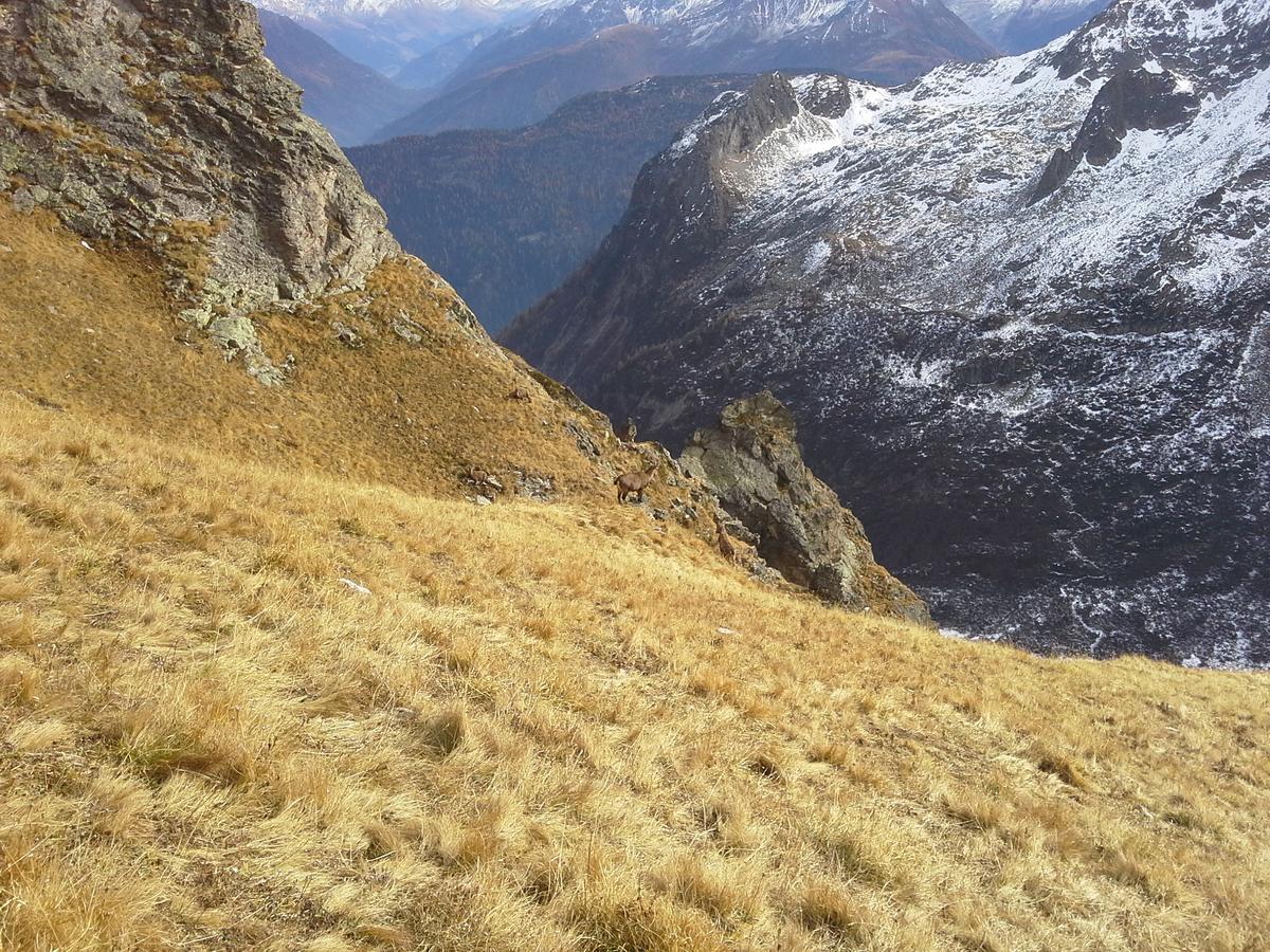 Vila Lieu Secret Dans Les Alpes Suisses Le Tretien Exteriér fotografie