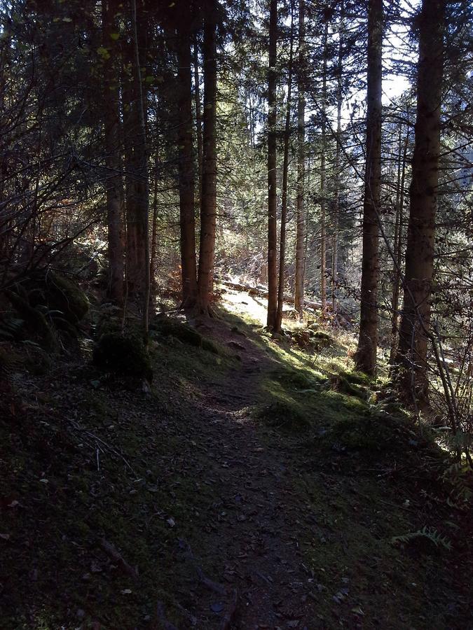 Vila Lieu Secret Dans Les Alpes Suisses Le Tretien Exteriér fotografie